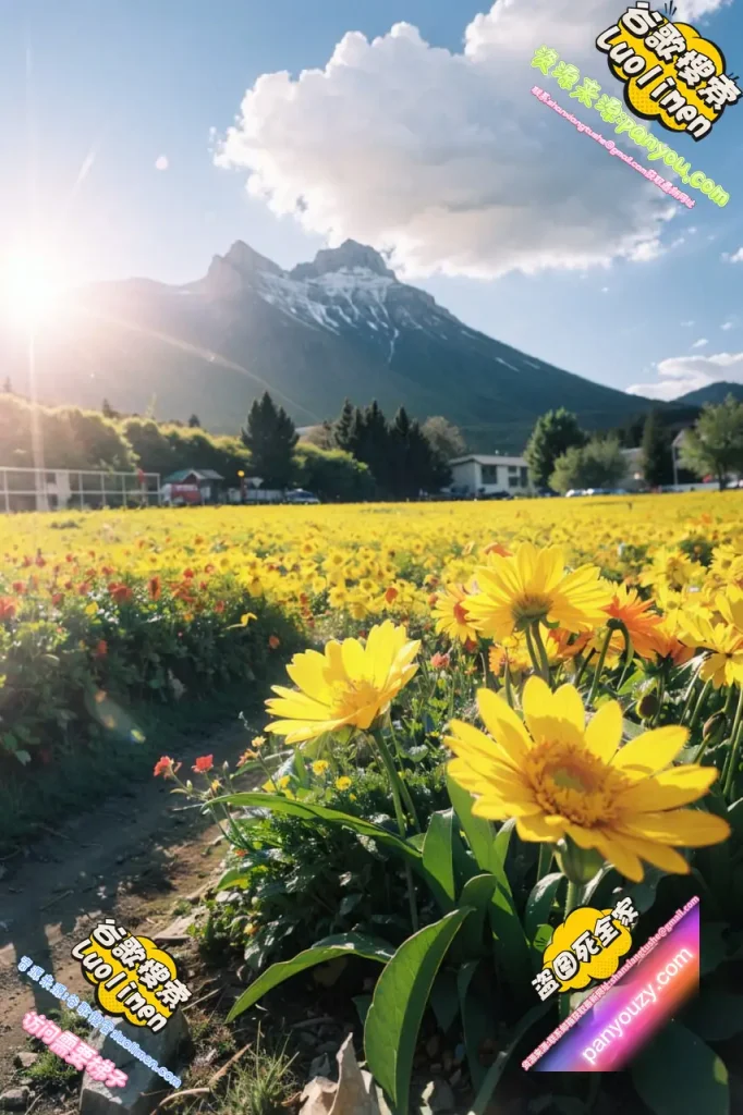 图片[14]-91欢迎您！